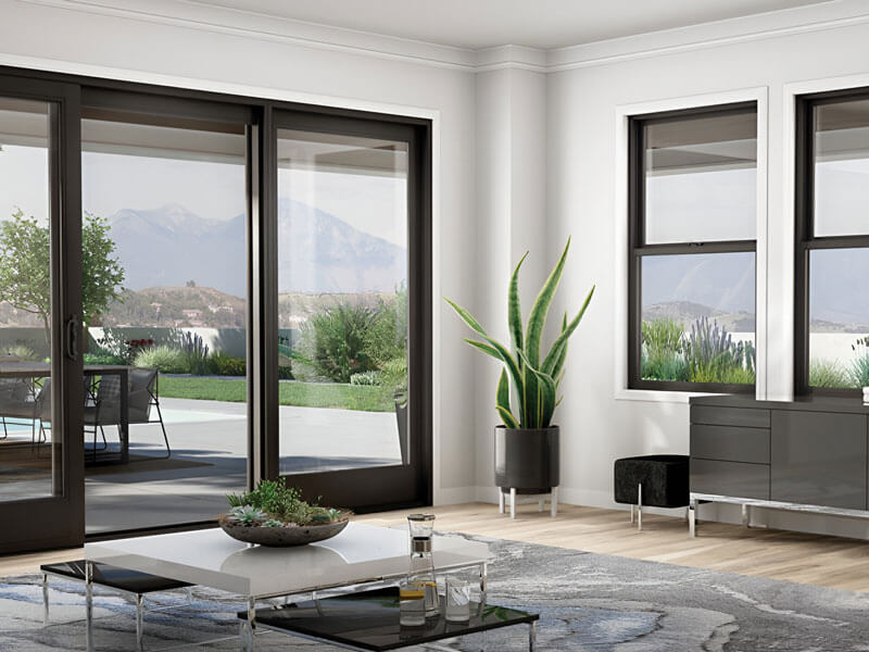 new windows and doors